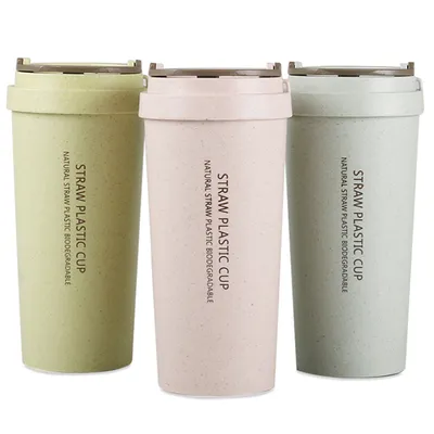 Portable Double Wall Wheat Straw Degradable Lovers Water Bottle with Handle