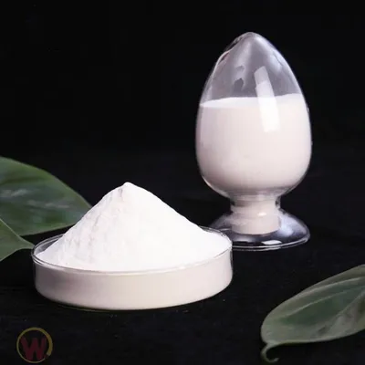 Water Repellent Agent for Masonry Mortar Rdp Modified Polymer Powder