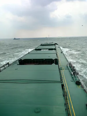 Robust 4-Hold Bulk Carrier of Chinese Make