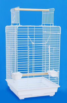 Parrot Cage (P18184)