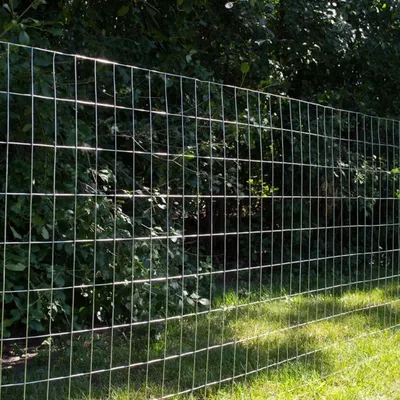 Hot DIP Galvanized Welded Wire Mesh Panel for Fencing and Cage