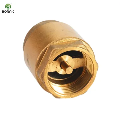 Bornic Wholesale Light Weight 1/2 Inch 15mm Vertical One Way Brass Spring Check Valve for Water