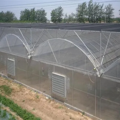 Film-Covered Multi-Span Structures Stand Side by Side and Are Green House Sheds