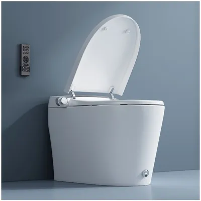 Modern Chinese Smart Toilet Bowl 1 Piece Toilet