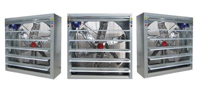 Exhaust Fan