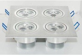 LED Down Light (ZJ-DL-12W)