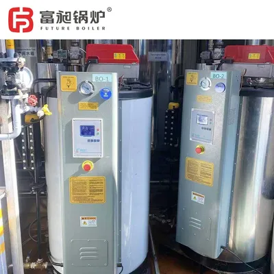 Chinese Natural Gas or LPG Steam Boiler