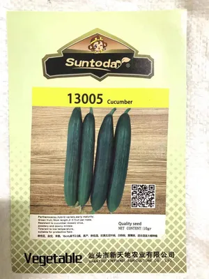 Suntoday Cucumber Seed