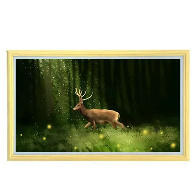 21.5-Inch Android WiFi Photo Frame Video Android Digital Photo Frame