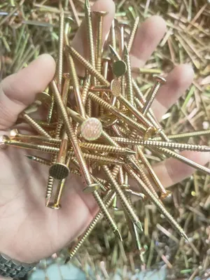 Hot Sale 65mm 75mm Roofing Screw Nails with Twisted Shank /Ring Shank