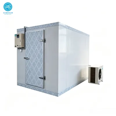 Modular Blast Freezer Room for Commercial Food Processing
