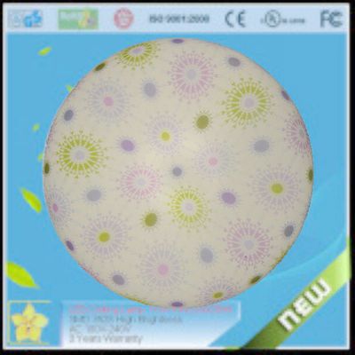 16W LED Ceiling Lighting (ZYY1A32-014)