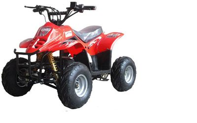 Electric ATV