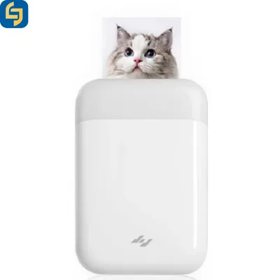Professional Dye Sublimation Photo Printer High Speed for Retail Photo Kiosk