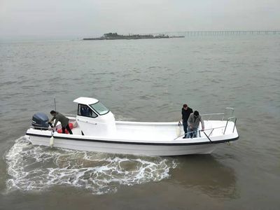 26FT Panga Outboard Motor Fishing Boat for Sale