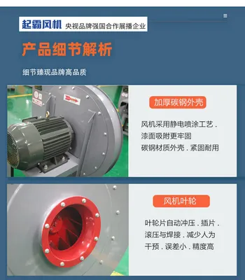 Explosion-Proof Electric Motor with 1-Year Warranty