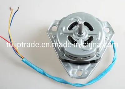 Electric Wash Motor 200W