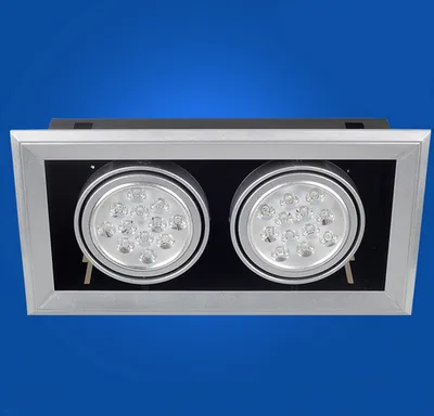 2X12W LED Downlight / LED Recessed Light for Lighting