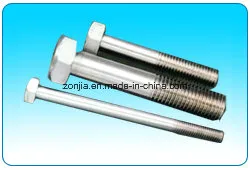 Stainless Steel AISI 304/316 Bolt