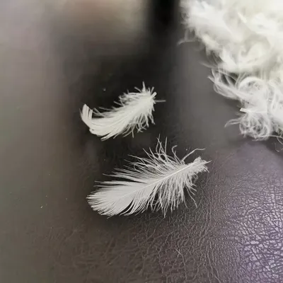 Washed Down Feather Washed Quality Assurance Washed Bulk 90% Duck Goose Down Feather for Pillow Filling