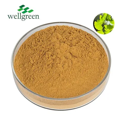 Facory Ginkgo Leaf Extract Organic Extract Powder Gingko Extract