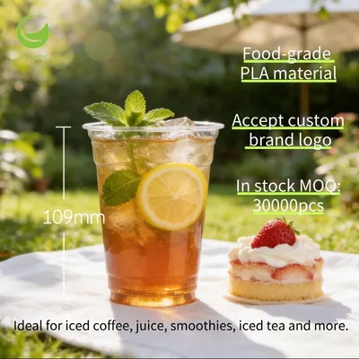 12 Oz Compostable Clear Pet Disposable Plastic Container Drinking Coffee Cups
