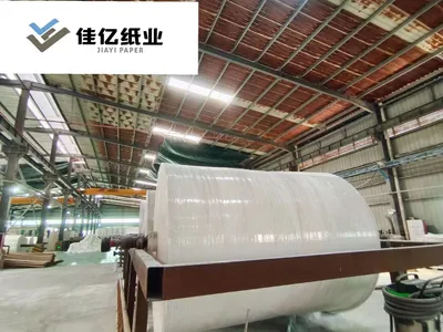 High Quality Jumbo Roll Tissue for Converting Facial Tissue /Toilet Paper