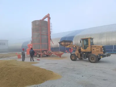 PVC Roof Galvanized 18.5cubic Meter Mobile Grain Dryer