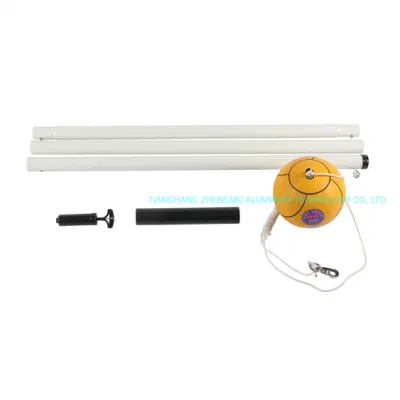 Premium 12 Inch Tetherball Set for Schools and Home Play