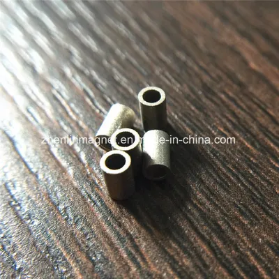 Micro Permanent Magnet Ring