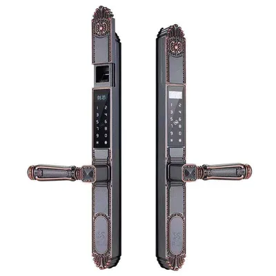 Double Face Fingerprint Password Courtyard Smart Lock