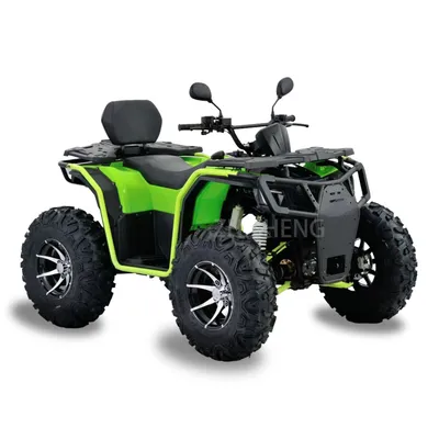 4 Wheeler Drive Quad Automatic Gear 300cc 350cc 4X4 ATV for Adults