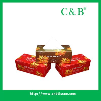 Box Tissue (2B-2A, b, c)