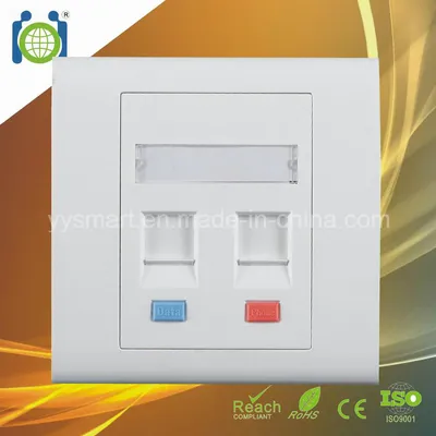 86*86mm 2 Port UTP RJ45 Faceplate