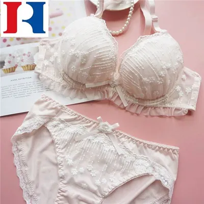 High Quality Ladies Underwear Low Waist Sexy Transparent Lace Women's Bra Panties