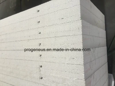 Progeneus 50mm AAC Panel ALC Panel for Floor