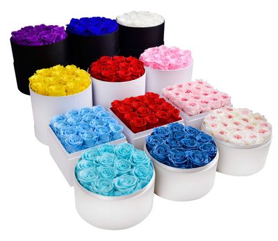 Valentine Day Gift Long Lasting Roses Flower Preserved Rose in Gift Box