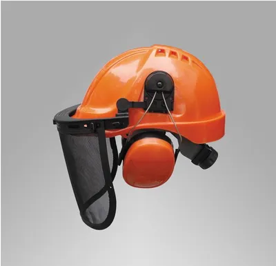 Safety Helmet with Face Shield Visor, Safety Earmuff Face Mask Helmet Set (JM432C)