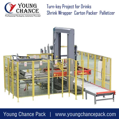 High Speed Good Quality Fully Automatic Bags Cartons Cases Bottles Packed Products Palletizer Stacking Machine From Young Chance Pack in China
