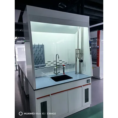 Intelligent Clear Visibility Customized Lab School Fume Hood for Work