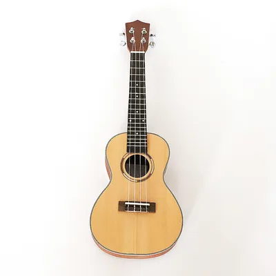 21 Inch High Quality Ukulele Musical Instrument