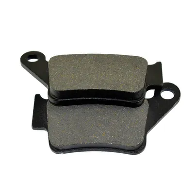 Fa208 Motorcycle Disc Brake Pad for CCM 404 Supermoto