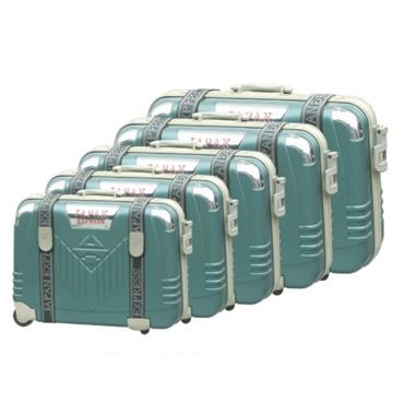 ABS Luggage (F-208)