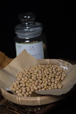 Premium Soy Flour for Nutrient-Rich Beverages and Meal Replacements