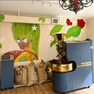 5kg Coffee Roasters 6kg Coffee Bean Roasting 15kg Probat Coffee Roaster Machine