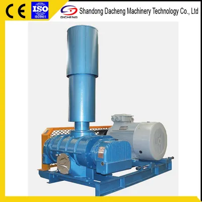 Dsr175 Chemical Industrial Positive Displacement Blower with ISO9001 Certificate