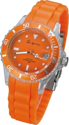 Commercial Watch (LN-8481)