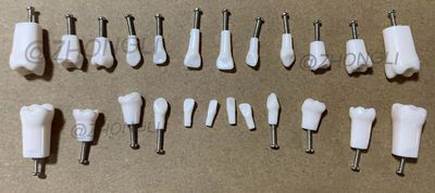 Replacement Teeth for 24 Teeth
