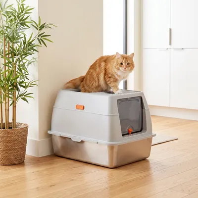Direct Selling Durable Stainless Steel Odor Control Cat Toilet with Splash-Proof Cover