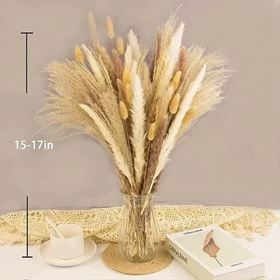 Boho Wedding Decor 45-60 Cm Dried Bouquet Flowers Mixed Dry Fluffy Pampass Grass Bunny Tail Bouquet Set Small Dry Pampas Grass